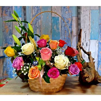 Rainbow Roses Rainbow Roses