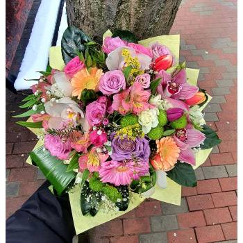 Buchet Daisy